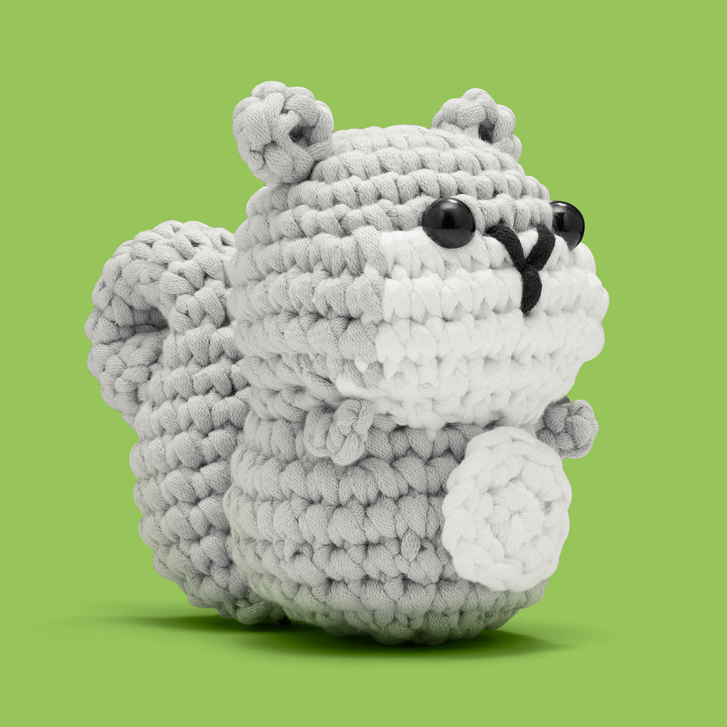 11SQ-AceTheSquirrel-34-YGP11-WEB