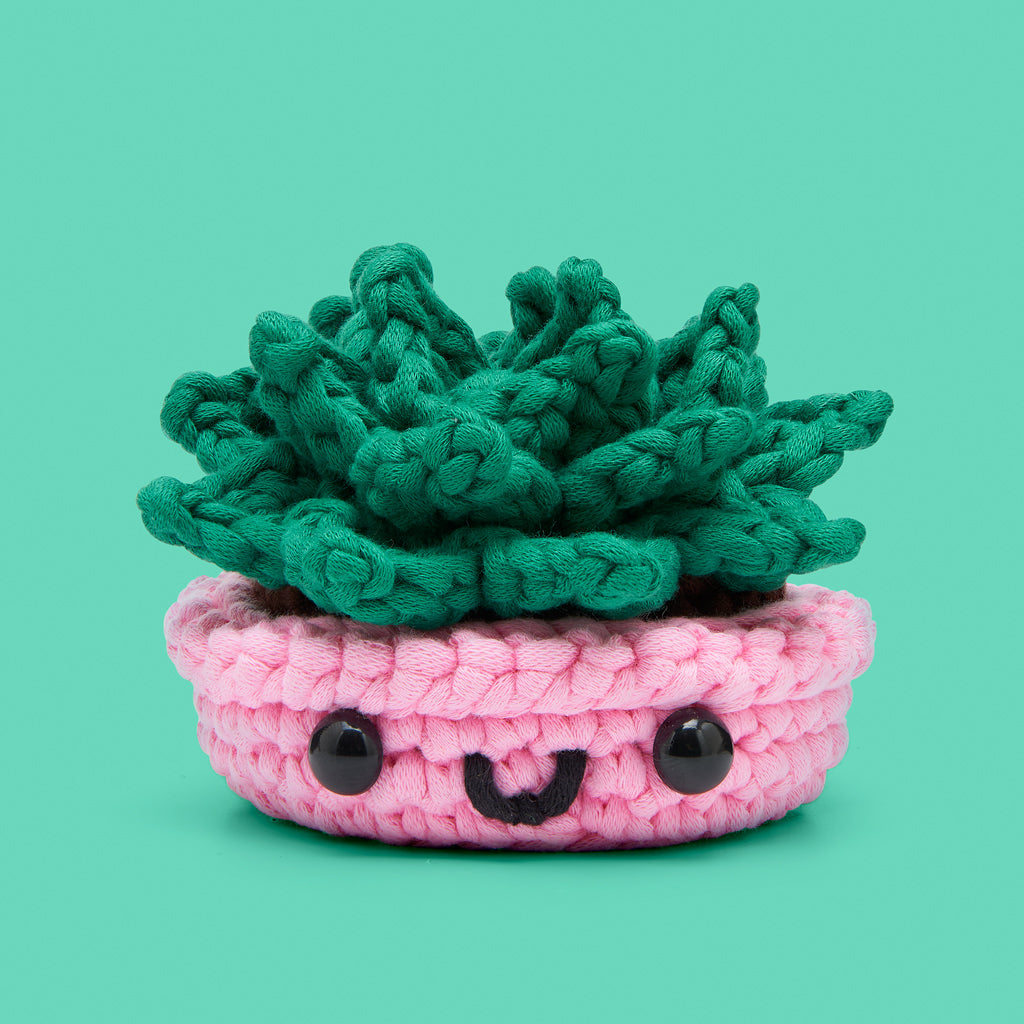 22SCC-JadeTheSucculent-FW-GT2-WEB