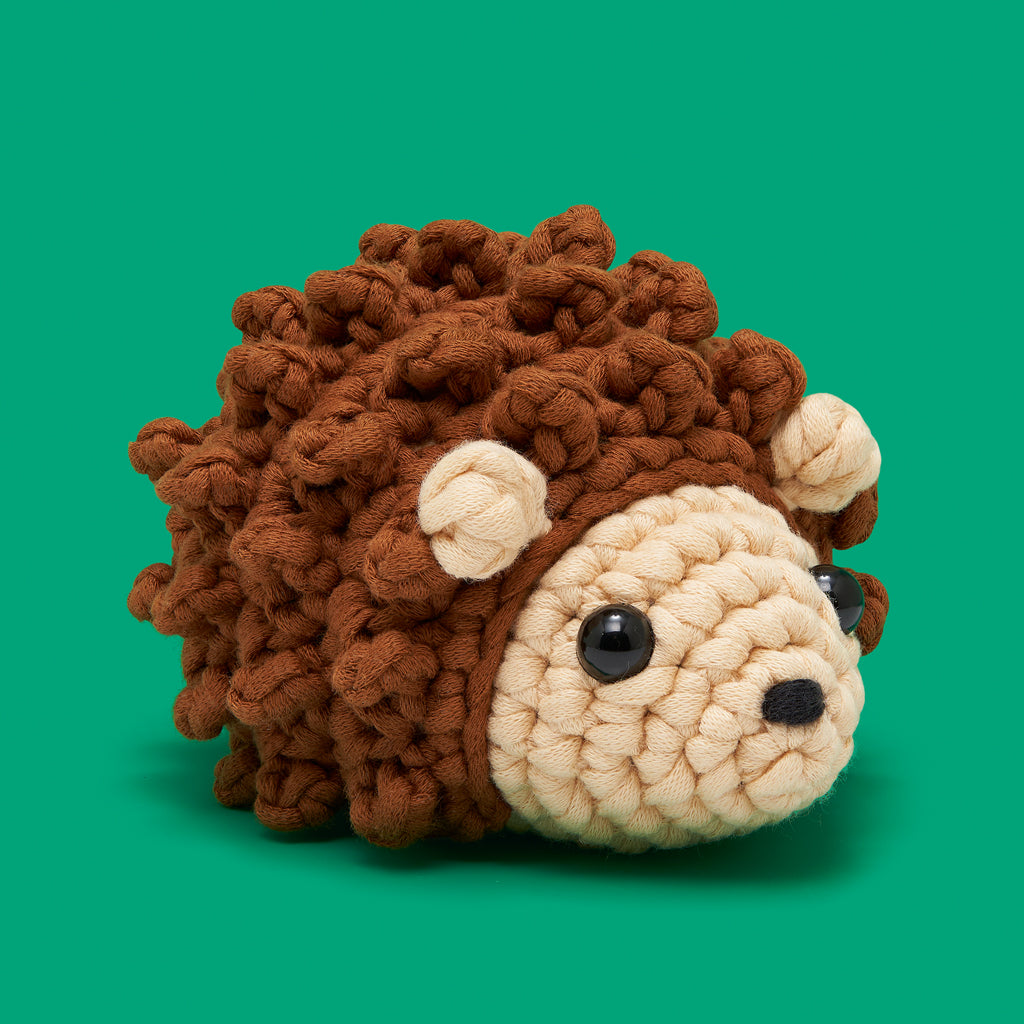 Fitz_the_Hedgehog_retouched