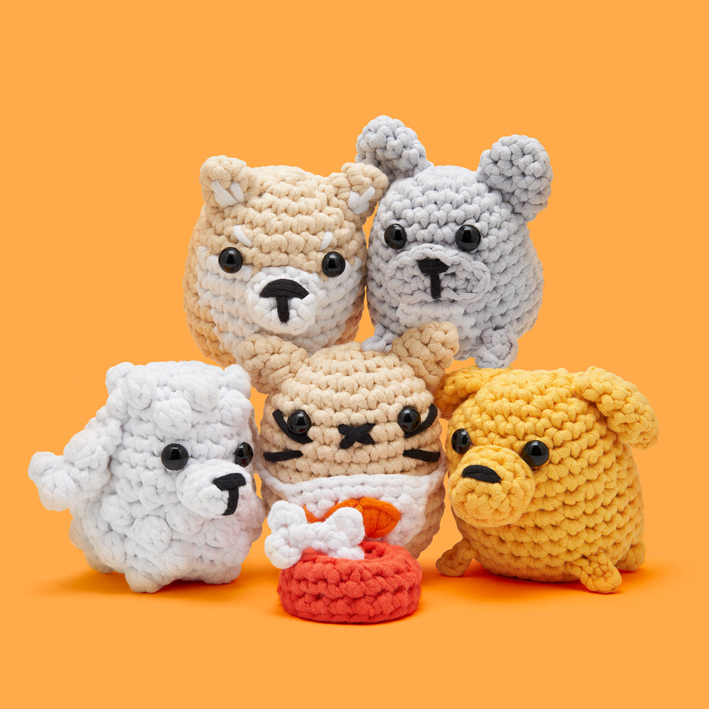 GetThisPawtyStartedBundle