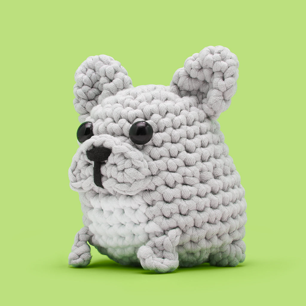 HugoTheBulldogYGT1