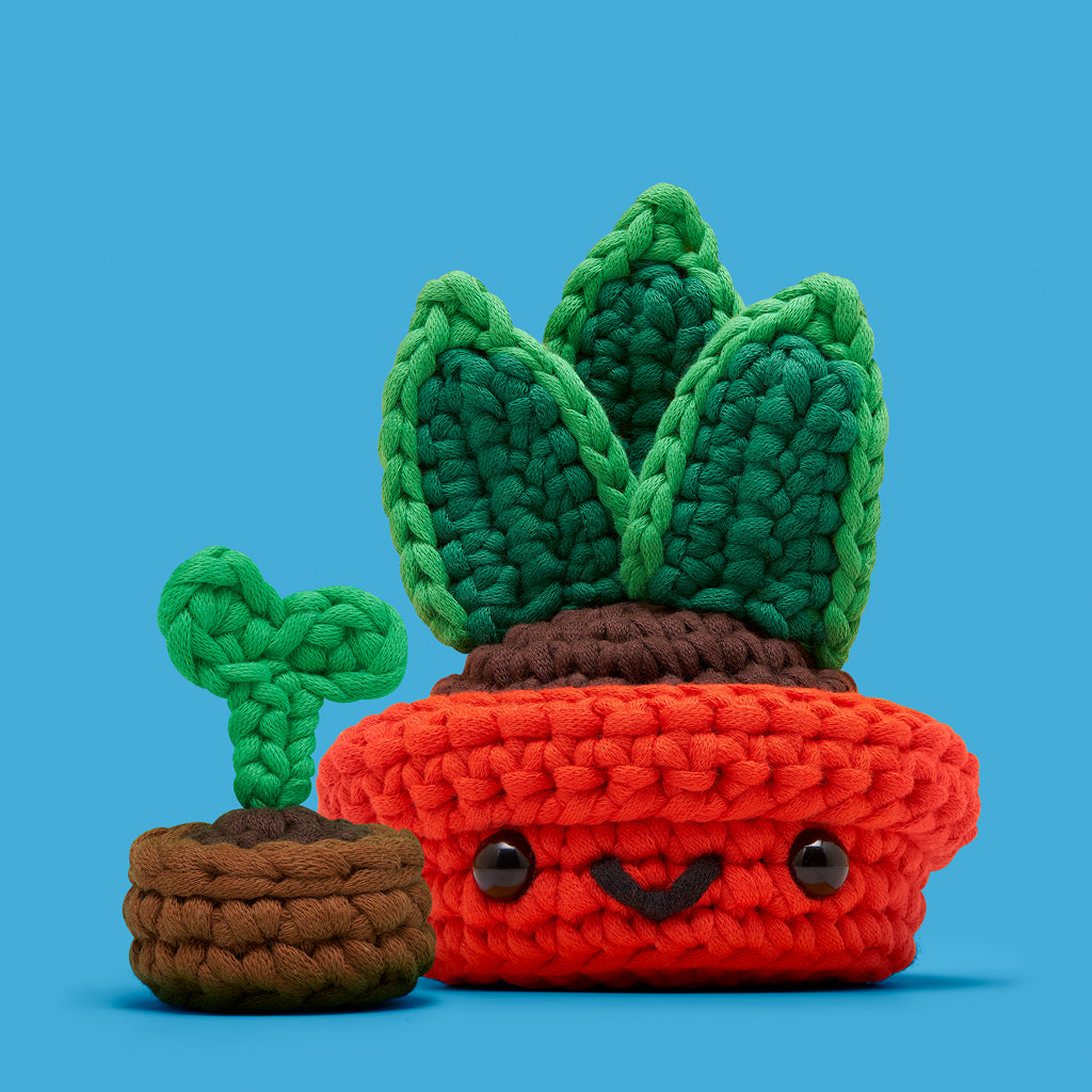 Snake_Plant_with_Sprout