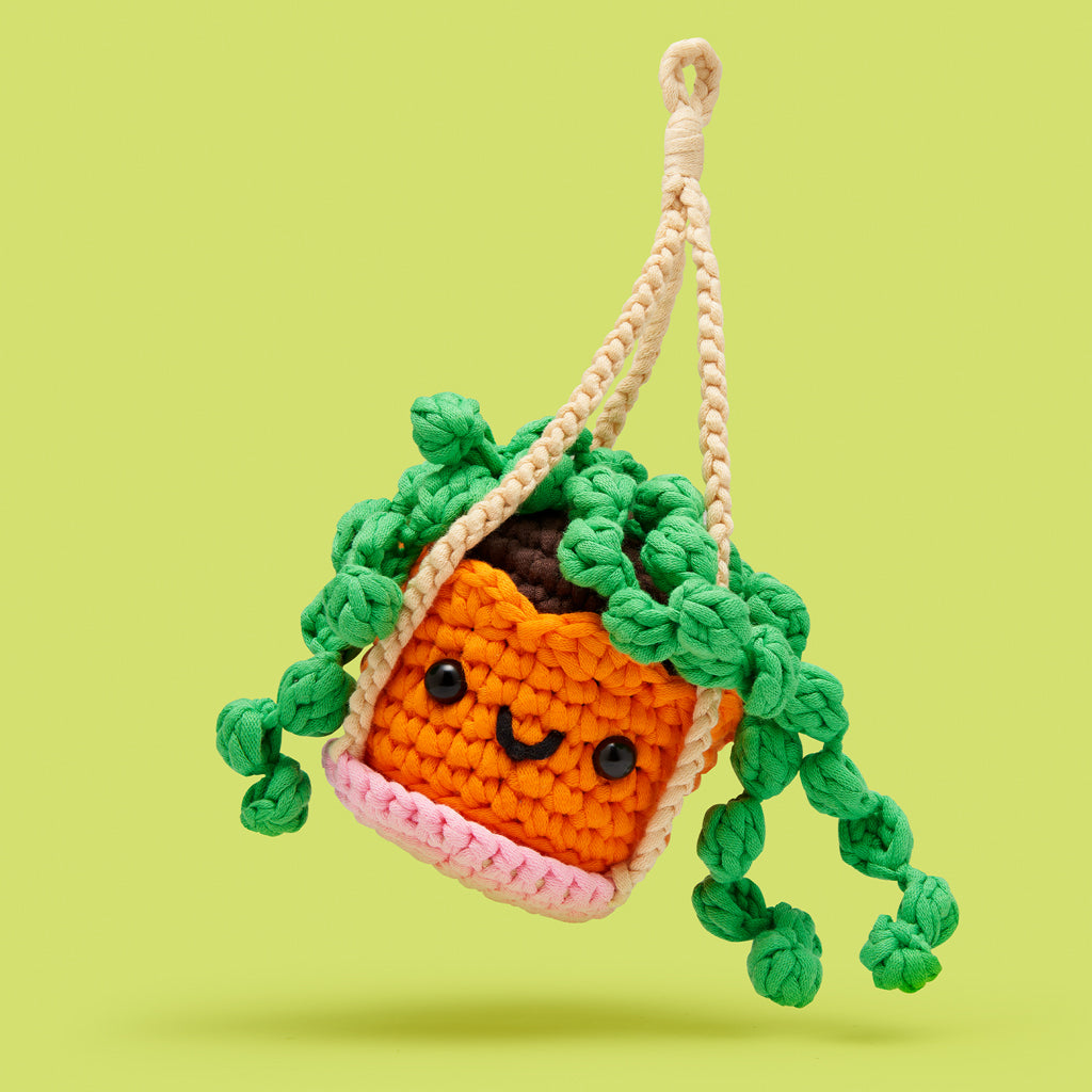 String_of_Pearls_on_Plant_Hanger
